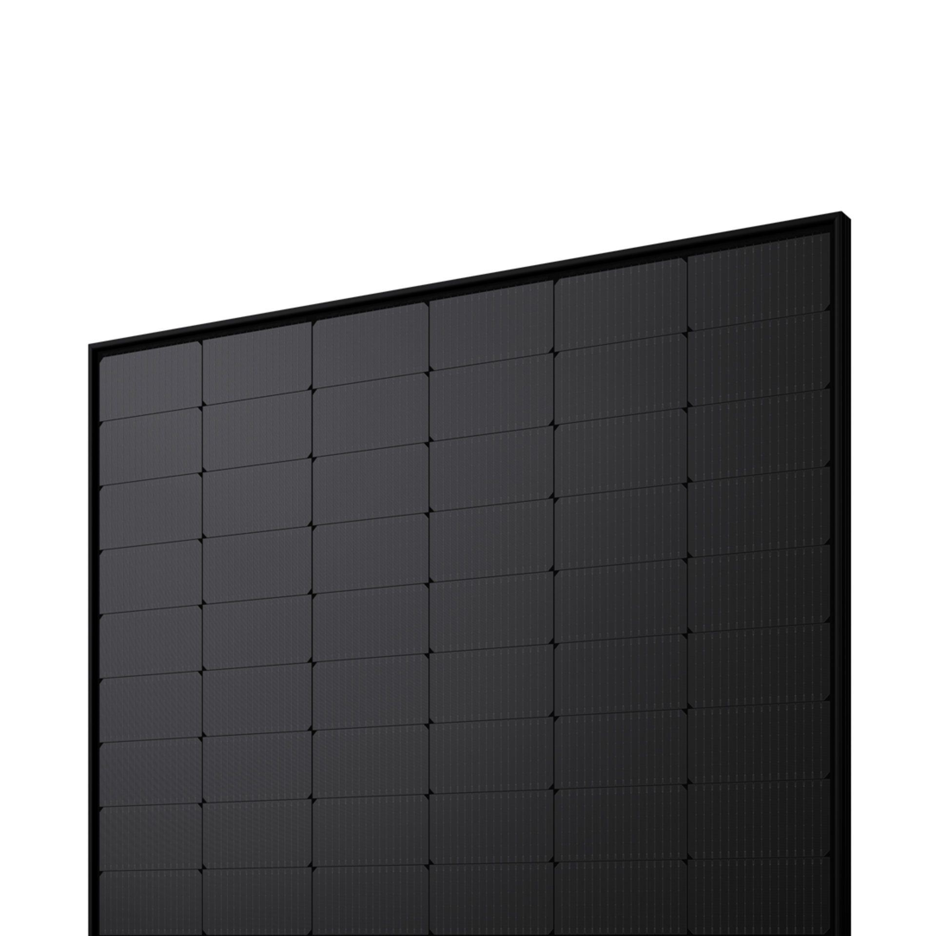 Foto: © WINAICO Hochwertige Solarmodule von WINAICO